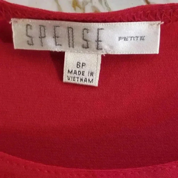 Spense Fringed Sleeve Dress - Picture 3 of 4